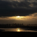 Dusk in the Normandy marshes
