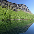 steep tree covered cliffs reflecting in the calm fjord